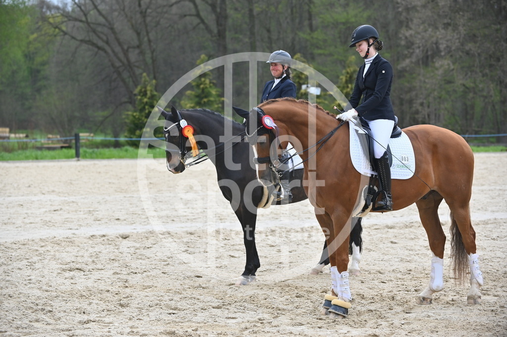 DSC_5334 | sattelsport - Realisiert mit Pictrs.com