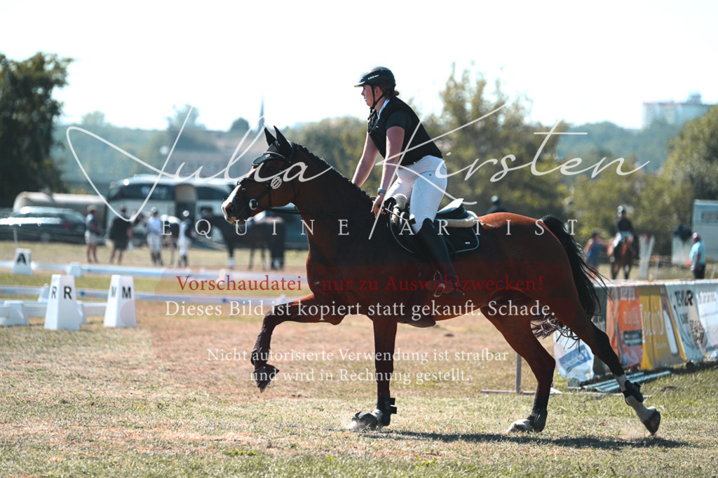 DSC_8123 | Pferde- und Turnierfotografie in Westsachsen. Pferdeportraits, Auftragszeichnungen und intuitive Kunst.