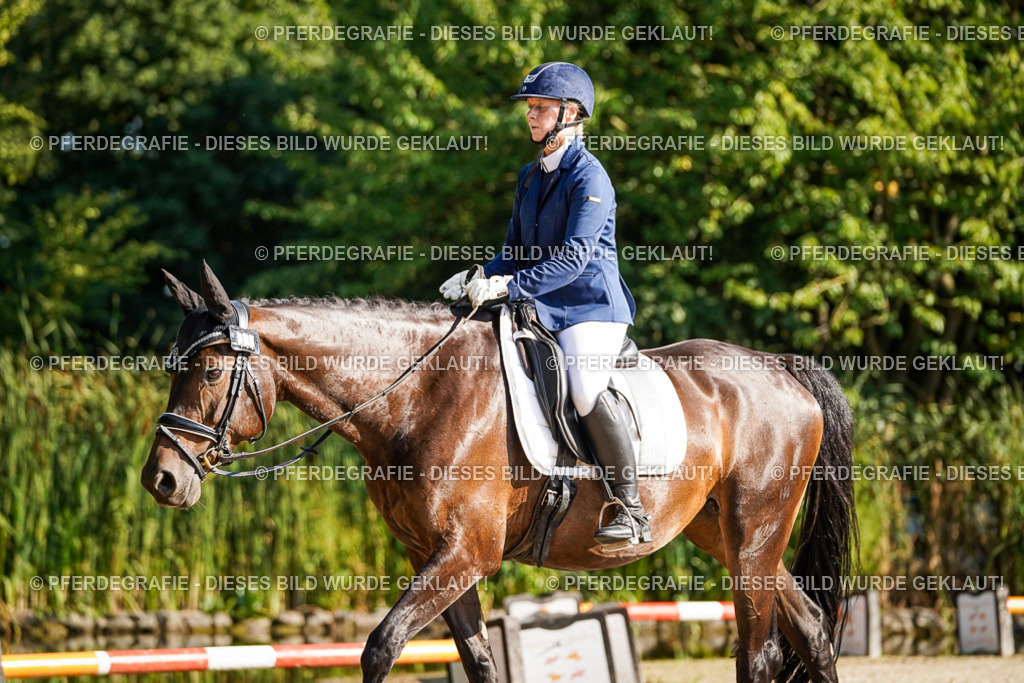 DSC09289 | Pferdegrafie