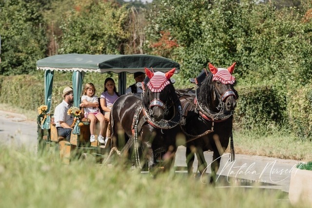 7V6A1840 | natalia-nirschl-photography