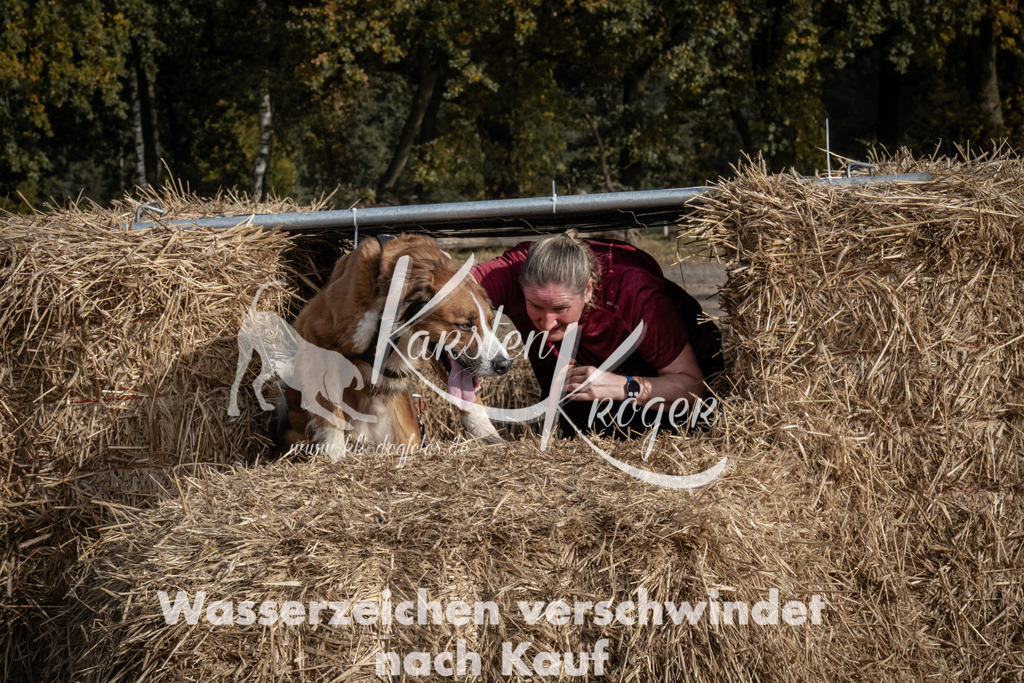 1207_ZZ93511 | kk-dogfotos