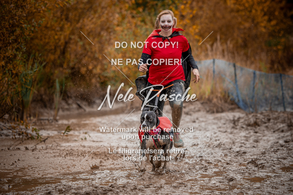 nelerasche_Creepy2025_Sa11-12_402 | nelerasche