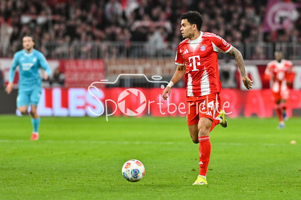 FC Bayern München - TSG 1899 Hoffenheim | MUNICH, GERMANY - 08. FEBRUARY: im Bild Luis DIAZ (FC Bayern Munich 14) / Einzelfoto / Freisteller während dem Bundesligamatch zwischen dem FC Bayern München und der TSG 1899 Hoffenheim am 21. Spieltag in der Allianz Arena / DFL REGULATIONS PROHIBIT ANY USE OF PHOTOGRAPHS AS IMAGE SEQUENCES AND/OR QUASI-VIDEO