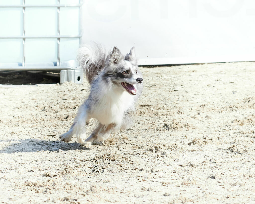 580A0057 | Peter Fridle Fotografie - Realisiert mit Pictrs.com