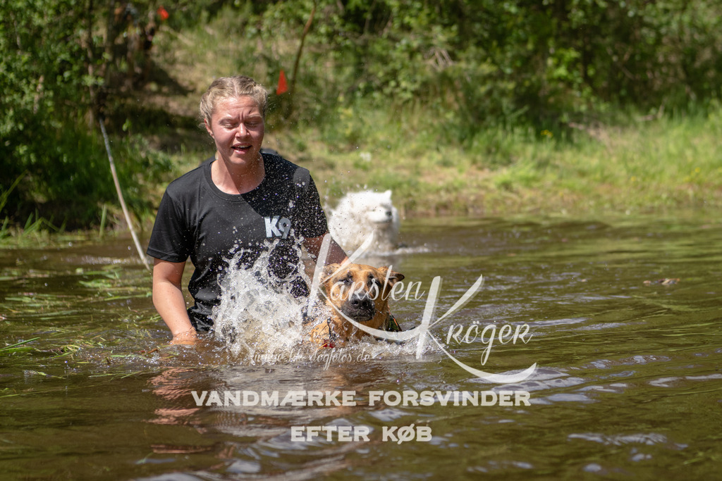 1319DKK994355 | kk-dogfotos