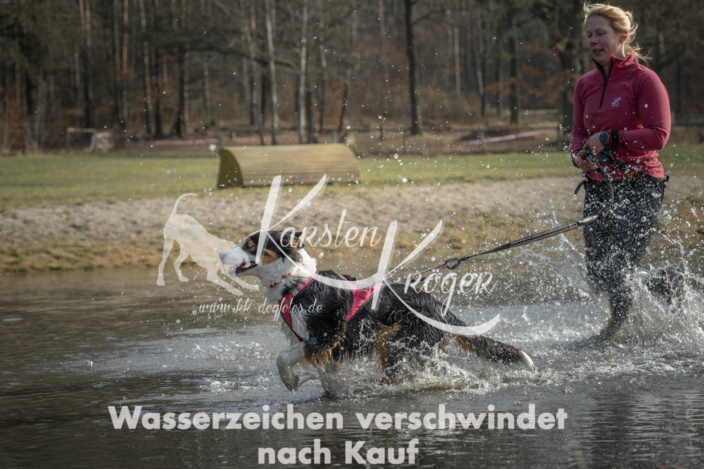 1036_ZZ98485 | kk-dogfotos
