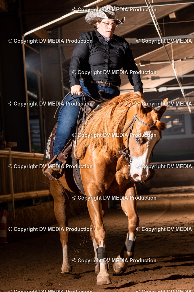 Erbach Tag 3-874 | dv-media-shop - Realisiert mit Pictrs.com
