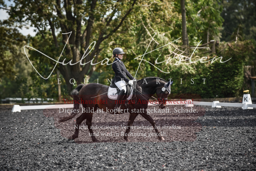 DSC_5108 | Pferde- und Turnierfotografie in Westsachsen. Pferdeportraits, Auftragszeichnungen und intuitive Kunst.