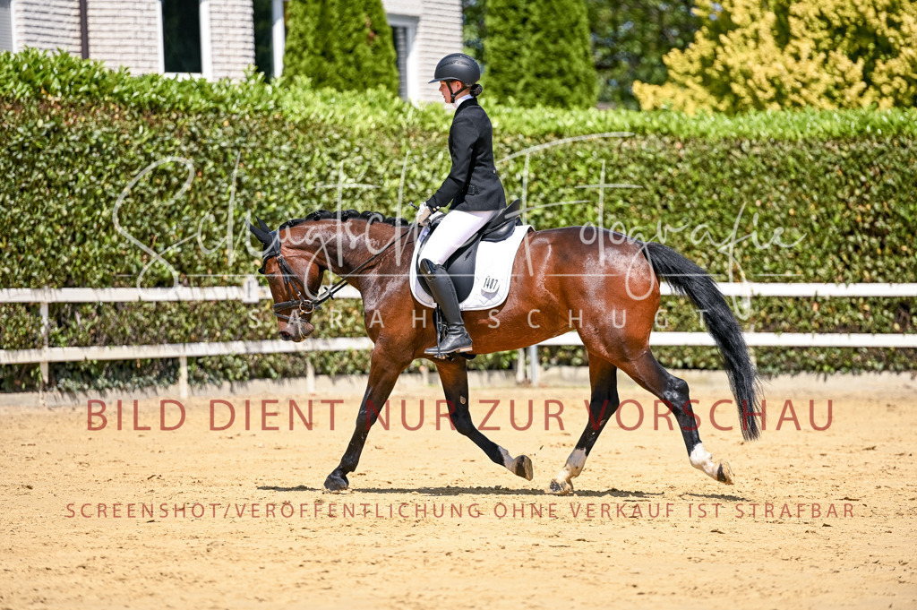 Schugtsche-Aluta25-49.Dressurpferdeprf.A-208 | Schugtsche Fotografie - Realisiert mit Pictrs.com