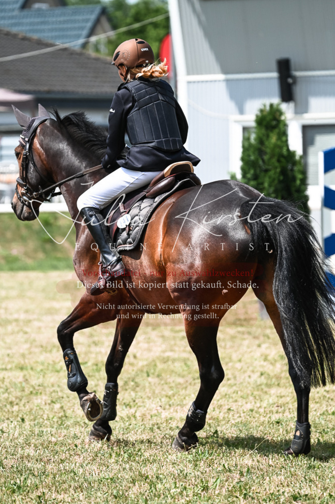 DSC_9259 | Pferde- und Turnierfotografie in Westsachsen. Pferdeportraits, Auftragszeichnungen und intuitive Kunst.
