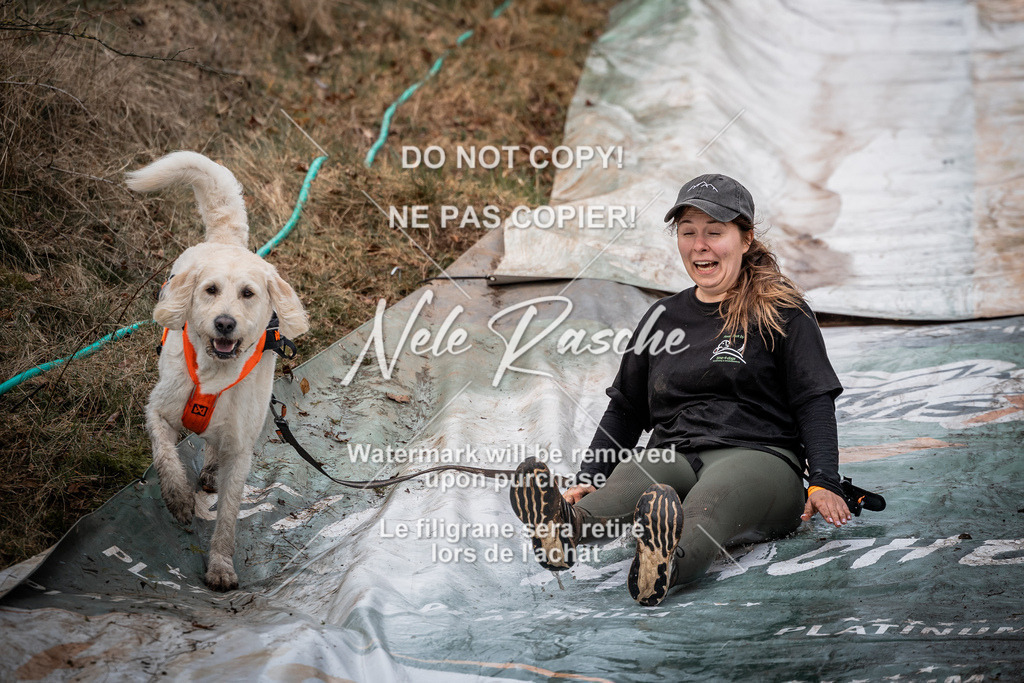 nelerasche_1330-1400_116 | nelerasche