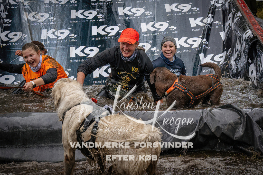 1213_ZZ94776 | kk-dogfotos