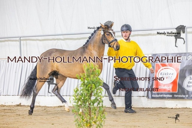 17 (30) | mandyhollmannphotographie