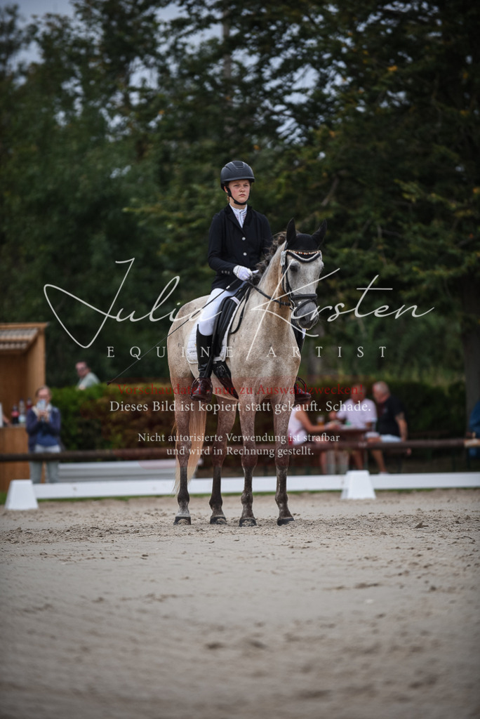 DSC_8197 | Pferde- und Turnierfotografie in Westsachsen. Pferdeportraits, Auftragszeichnungen und intuitive Kunst.