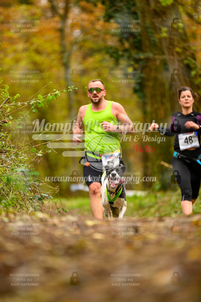 MompixPhotography_Bischwiller24_SA_Canicross-37 | mompixphotography