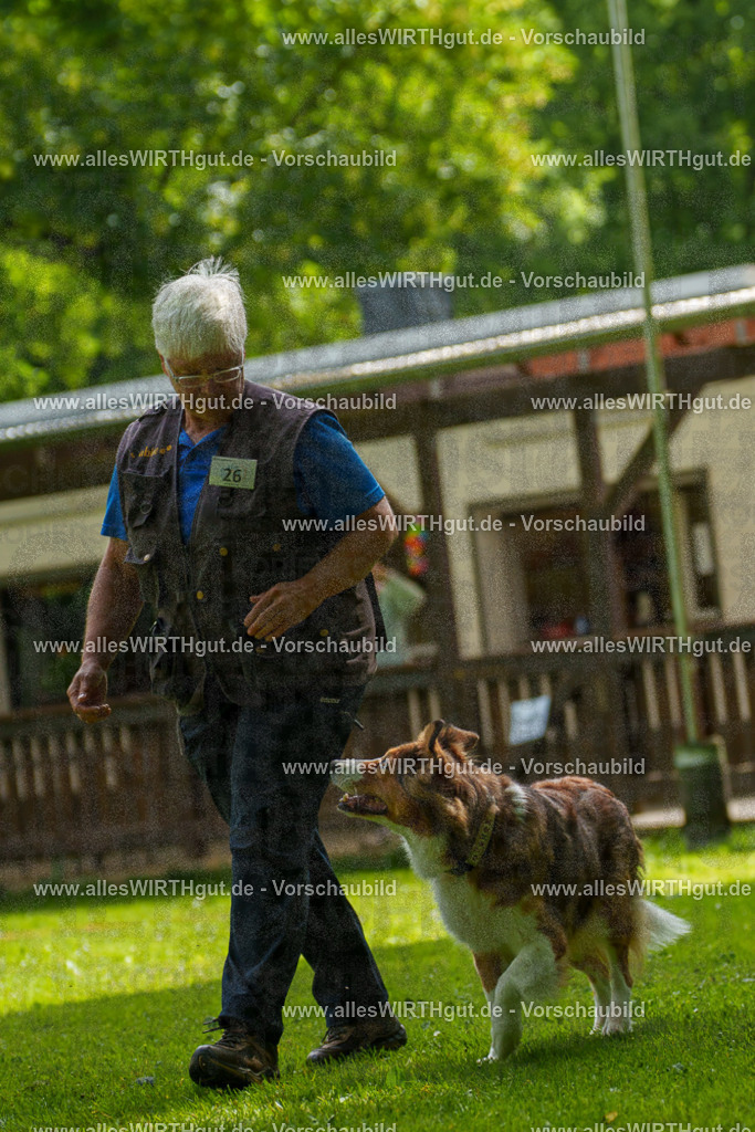 @allesWIRTHgut_Tierfotografie - www.allesWIRTHgut.de - 100753-7R508090 | Professionelle Tierfotografie in Mönchengladbach von Daniel Wirth (allesWIRTHgut). Liebevolle & natürliche Bilder von Hunden & Katzen für unvergessliche Erinnerungen.