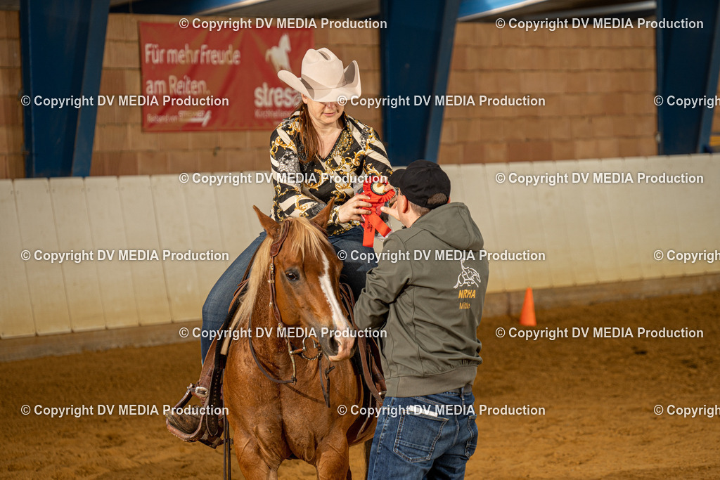 MIT00327 | dv-media-shop - Realisiert mit Pictrs.com