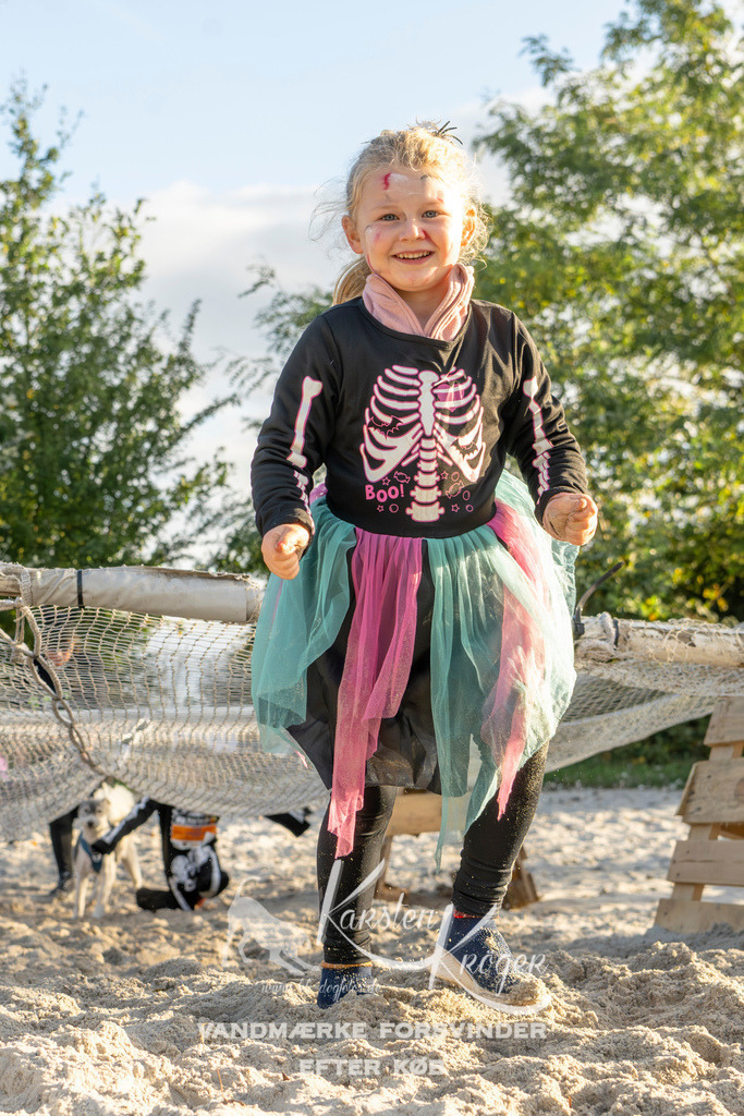 1647_ZZ99359 | kk-dogfotos