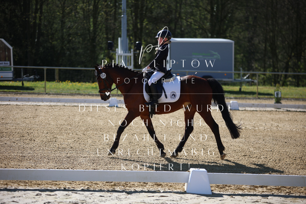 IMGT9706 | pl-fotografie