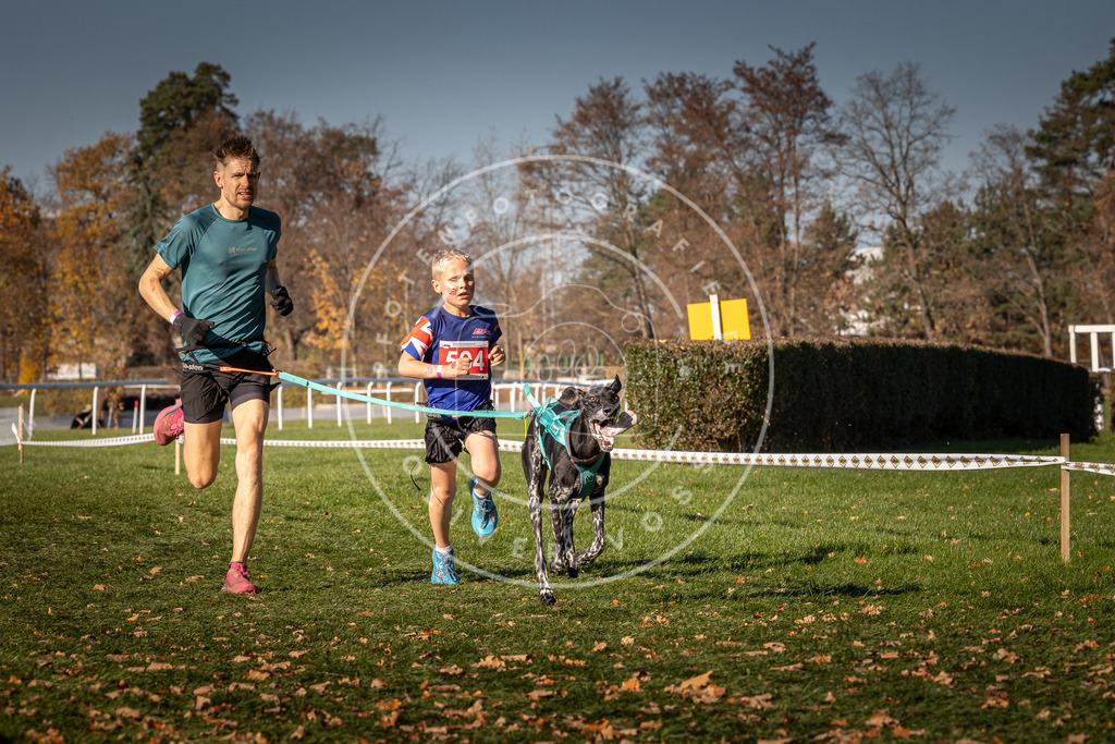 CaniXpix_0L8A6614 | Hundefotografie, Tierfotograf, Pfotenfotografie, Fotoshooting Hund, Hunde Portrait, Hundesport, Hundeportraits, Heideshooting, Hunde, Sportfotograf, Hundefotograf, Turnierhundsport, THS,  - Realisiert mit Pictrs.com