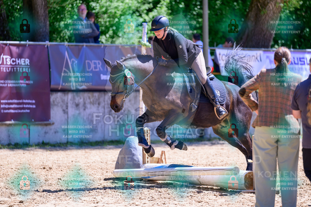 01052026-Giesenbach-02-Stiltrail-0178 | Fokus Hufschlag Fotografie - Realisiert mit Pictrs.com