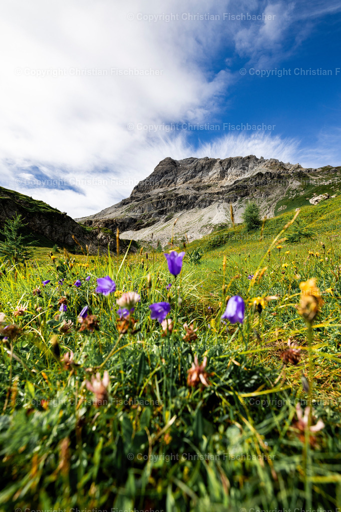 Fotos_Copyright_Chri_Fischbacher_Druck-458 | Bildershop Chri Fischbacher - Realisiert mit Pictrs.com