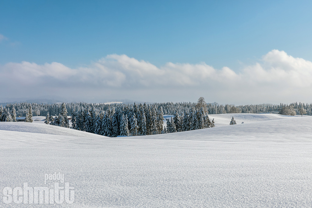 PS-Winter-2026-72 | Entdecke die größte Bildgalerie der Region mit Fotografien aus dem Allgäu, der Bodenseeregion, Oberschwaben, dem Donautal und der Schwäbischen Alb. Landschaften, Luftaufnahmen und Reisefotografie als Wandbild und Fotokunst. - Realisiert mit Pictrs.com