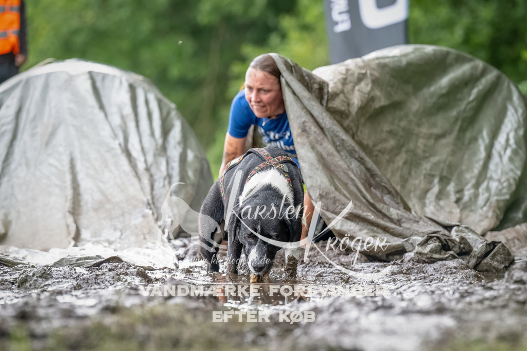 0922_ZZ90870-Bearbeitet | kk-dogfotos