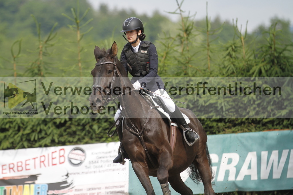 _MG_4528 | equestrian-live-com