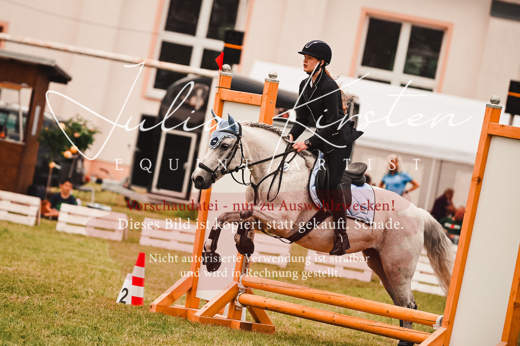 DSC_6964 | Pferde- und Turnierfotografie in Westsachsen. Pferdeportraits, Auftragszeichnungen und intuitive Kunst.