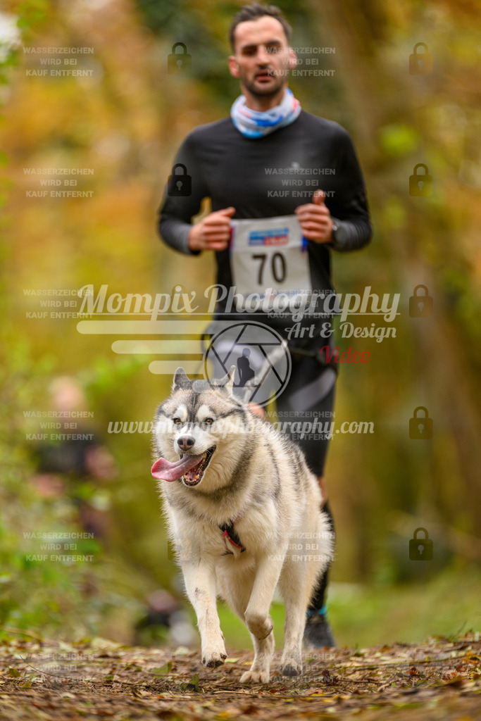 MompixPhotography_Bischwiller24_SA_Canicross-83 | PayLife