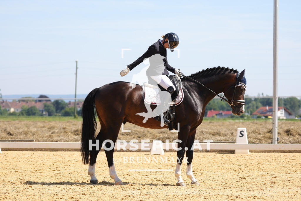 0P6A9656 | Willkommen bei Brunnmayr - Design & Fotografie – Ihrem Spezialisten für Reitturniere und Pferdeveranstaltungen in Oberösterreich, Salzburg und Bayern! Seit über 17 Jahren sind wir leidenschaftlich dabei.