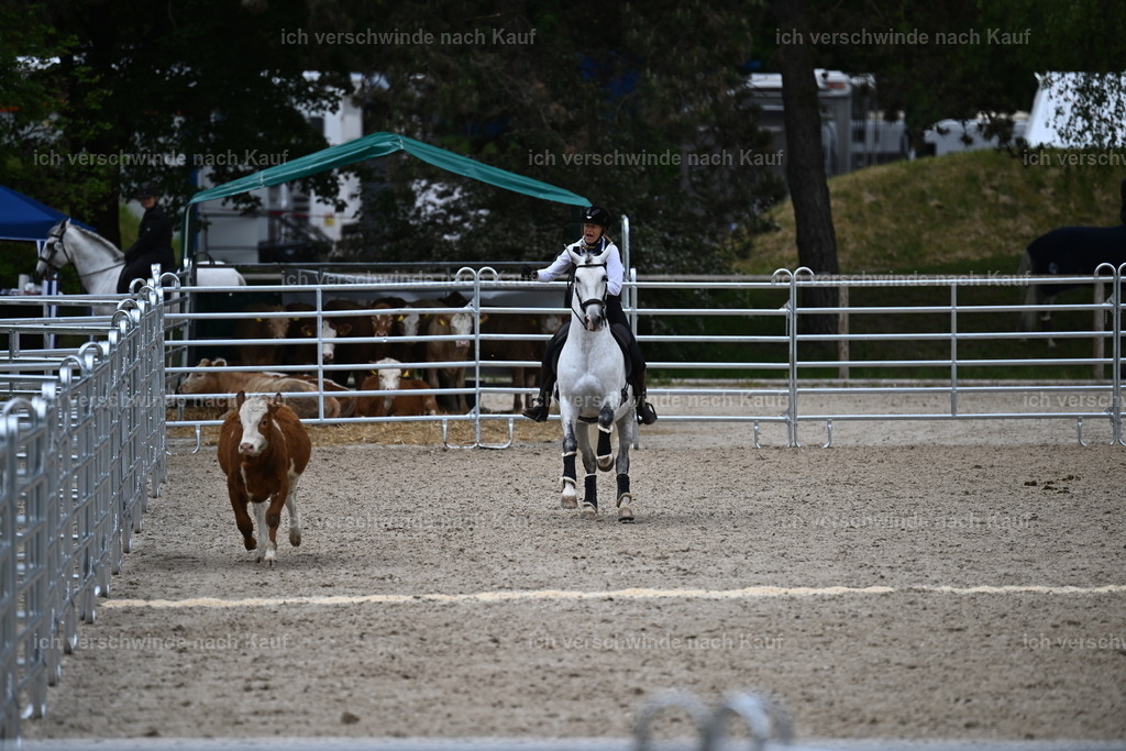 PI26_COW_Sara Landvogt226_7601.JPG | working equitationturnier fotograf videograf stoibphotography marixx film working equitation deutschland reitsport turnierfotografie eventfotografie equestrian events