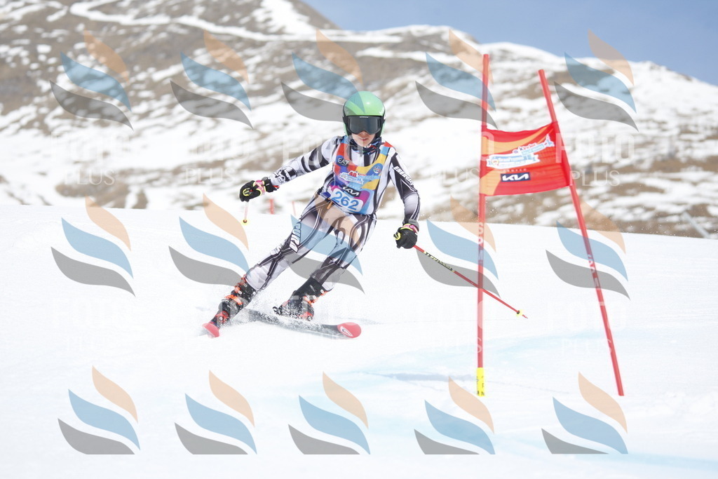 _W1G2965 | holidayphoto