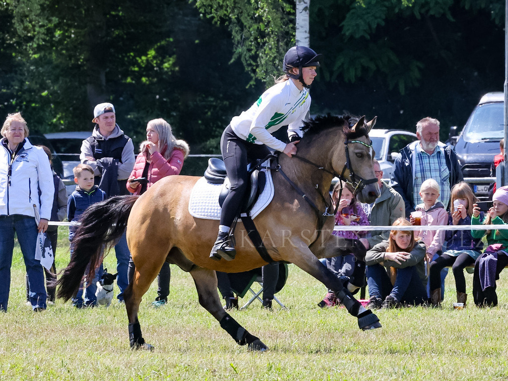 IMG_1624 | Reitsport Reiten