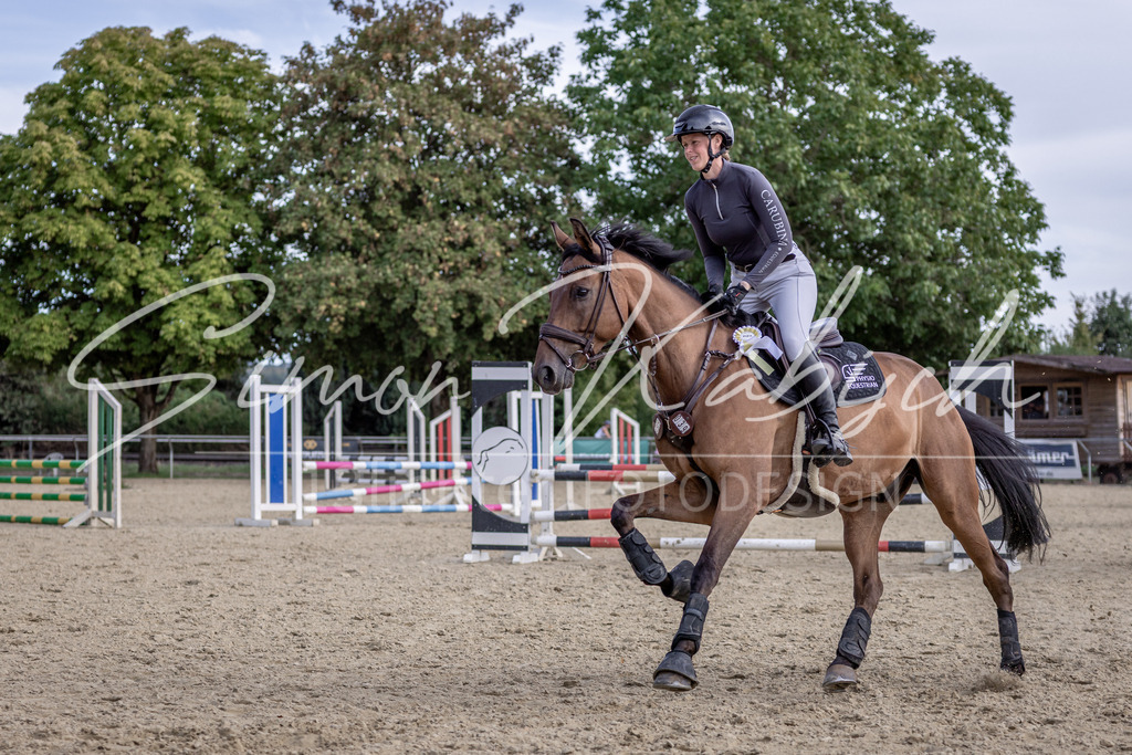 20260906-_3LI6636 | Tierfotografie Pferde, Hunde, Katzen, Haustiere.
Turnierfotografie Reitturniere, Reiten, Springreiten, Dressur in Hanau, dem Main-Kinzig-Kreis und dem Rhein-Main- Gebiet um Frankfurt