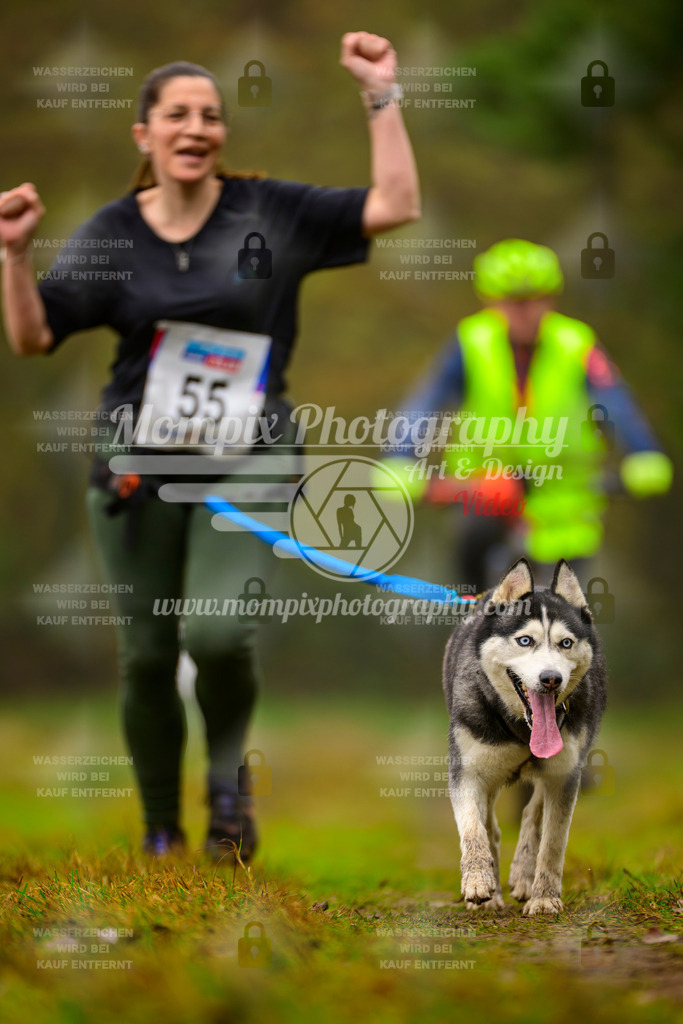 MompixPhotography_Bischwiller2025_Canicross-189 | mompixphotography