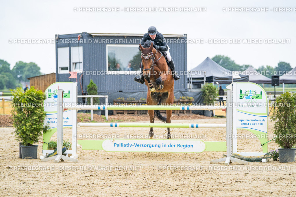 DSC09540 | Pferdegrafie