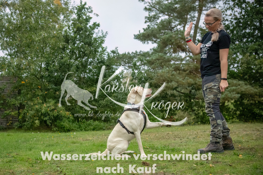 1220_ZZ90703-2-Bearbeitet | kk-dogfotos