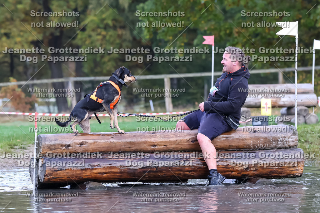 Dog Paparazzi - Strongdog 10-25-6633 | Dog Paparazzi Jeanette Grottendiek Fotografie & Videografie - Realisiert mit Pictrs.com