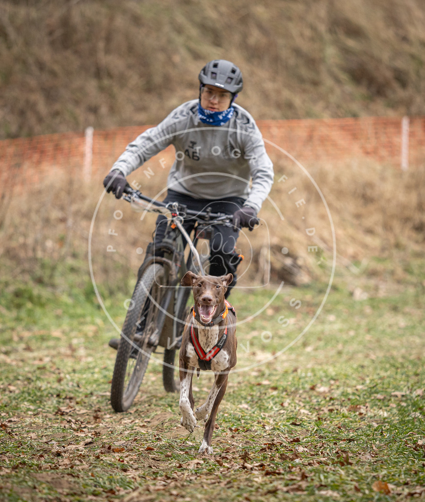 Pfotenfotografie_DV3A6892 | Hundefotografie, Tierfotograf, Pfotenfotografie, Fotoshooting Hund, Hunde Portrait, Hundesport, Hundeportraits, Heideshooting, Hunde, Sportfotograf, Hundefotograf, Turnierhundsport, THS,  - Realisiert mit Pictrs.com