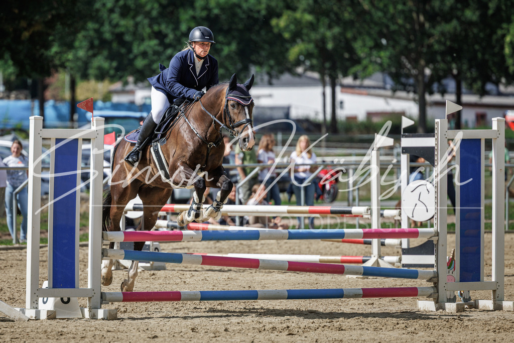 20260905-_3LI8858 | Tierfotografie Pferde, Hunde, Katzen, Haustiere.
Turnierfotografie Reitturniere, Reiten, Springreiten, Dressur in Hanau, dem Main-Kinzig-Kreis und dem Rhein-Main- Gebiet um Frankfurt