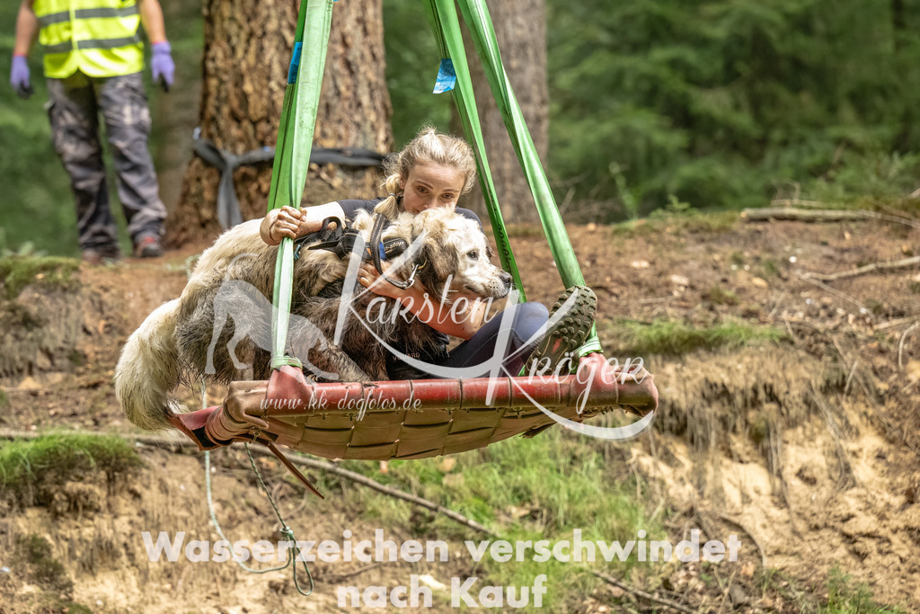 1258_ZZ91854-Bearbeitet | kk-dogfotos
