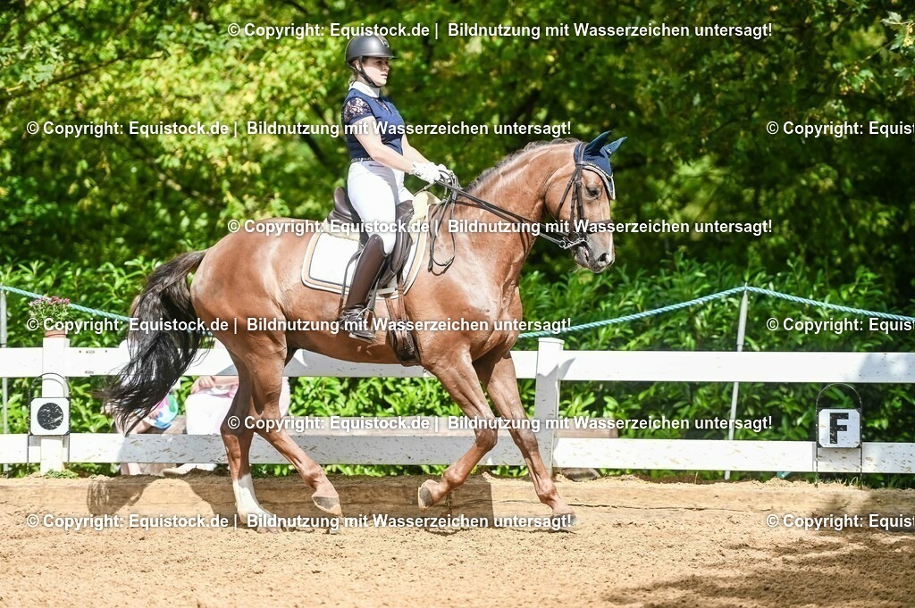 20230716_01_Dressurprüfung Kl.M_0376 | equistock