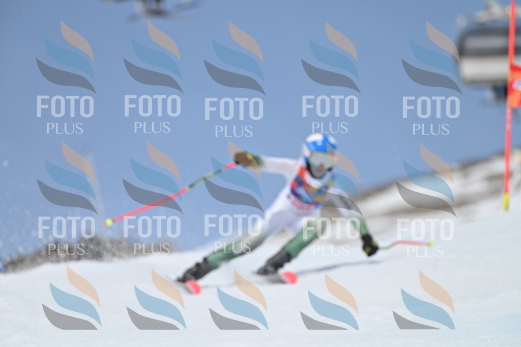 BGV_2676 | holidayphoto