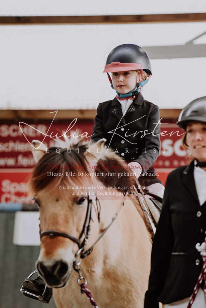 DSC_6851 | Pferde- und Turnierfotografie in Westsachsen. Pferdeportraits, Auftragszeichnungen und intuitive Kunst.