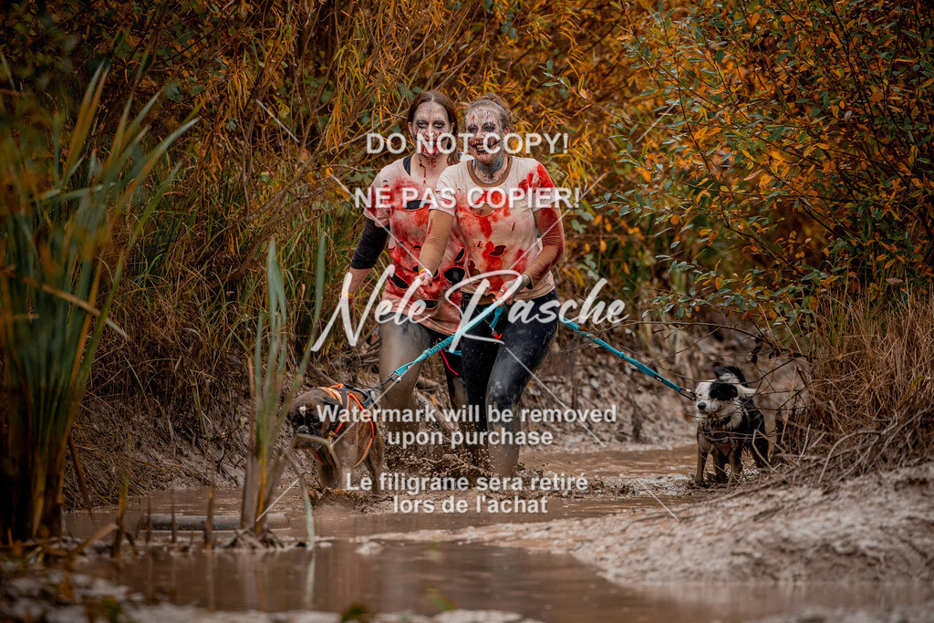 nelerasche_Creepy2025_Sa1330-1400_128 | nelerasche