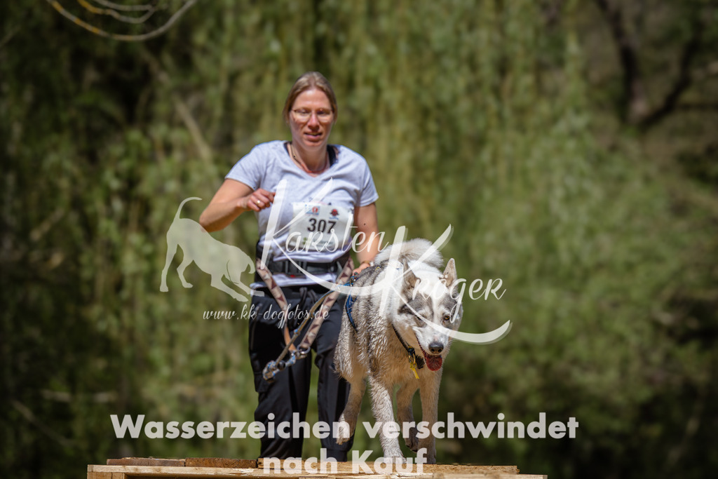 1242_ZZ93766 | kk-dogfotos