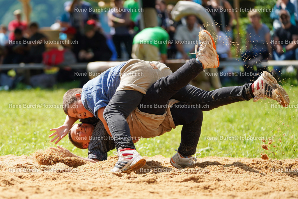 20220606-DSC09506 (2) | René Burch leidenschaftlicher Fotograf aus Kerns in Obwalden.  Hier finden sie Sport, Landschaft und Natur Fotografie.
 - Realisiert mit Pictrs.com