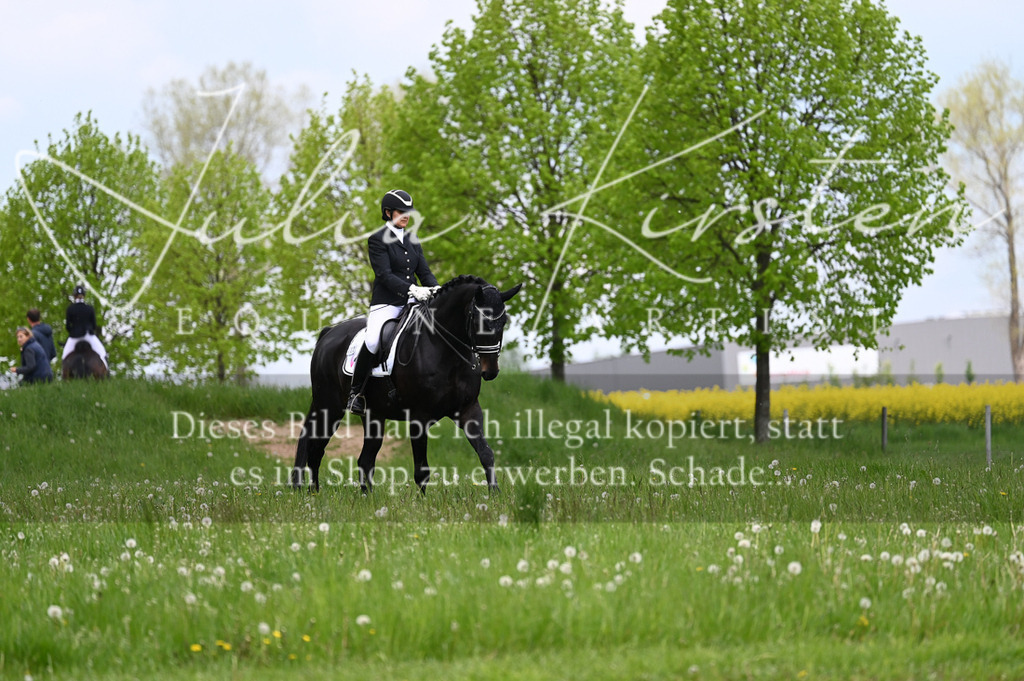 20230512_JK-Röhrsdorf-05-088 | Pferde- und Turnierfotografie in Westsachsen. Pferdeportraits, Auftragszeichnungen und intuitive Kunst.